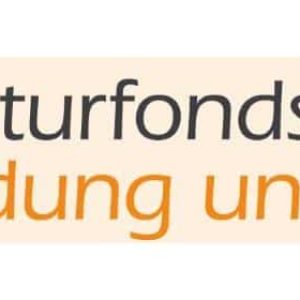 Logo Kulturfonds Bildung